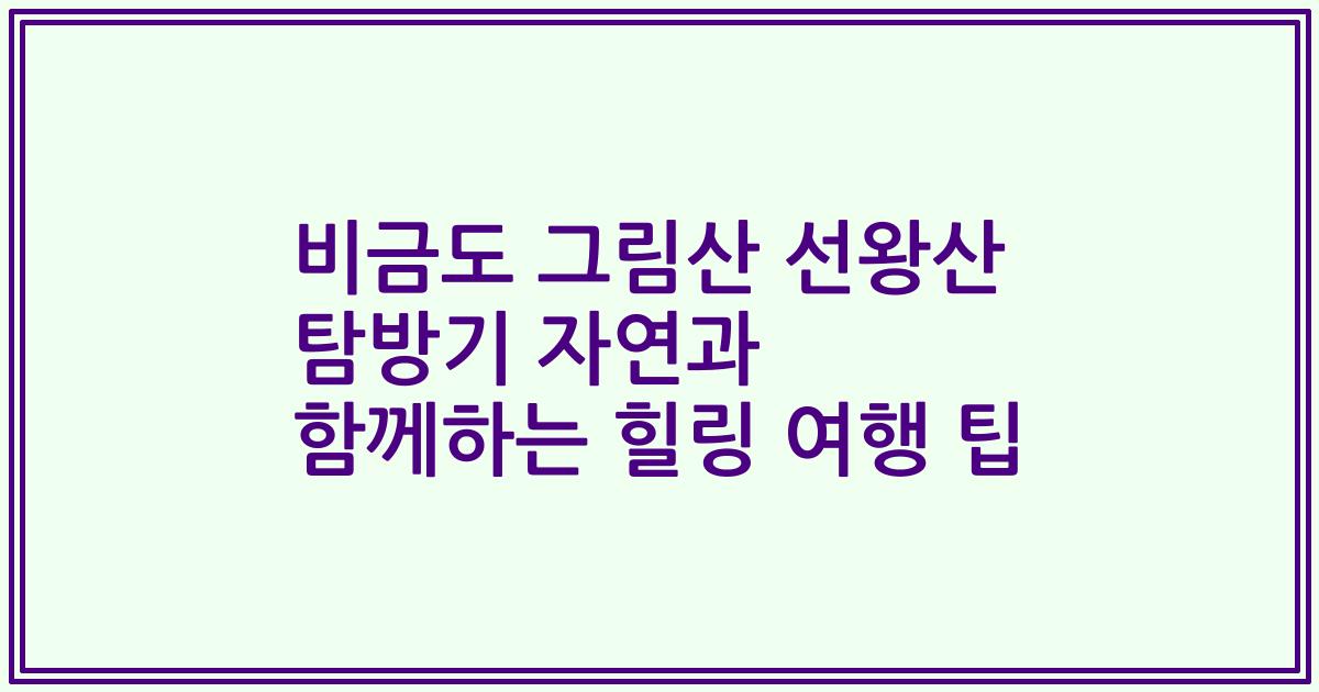 비금도 그림산 선왕산 탐방기 자연과 함께하는 힐링 여행 팁