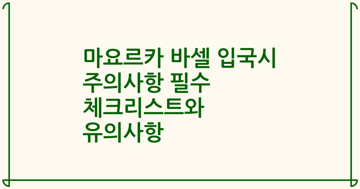 마요르카 바셀 입국시 주의사항 필수 체크리스트와 유의사항